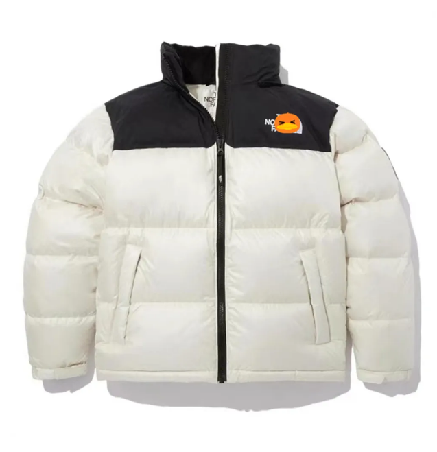 North Designer Faced Jacket Women Top Quality Mens Down Jackets Coats Designer Puffer Peak Purple Long Sleeve Hooded Fill-down Stowable Hood Water