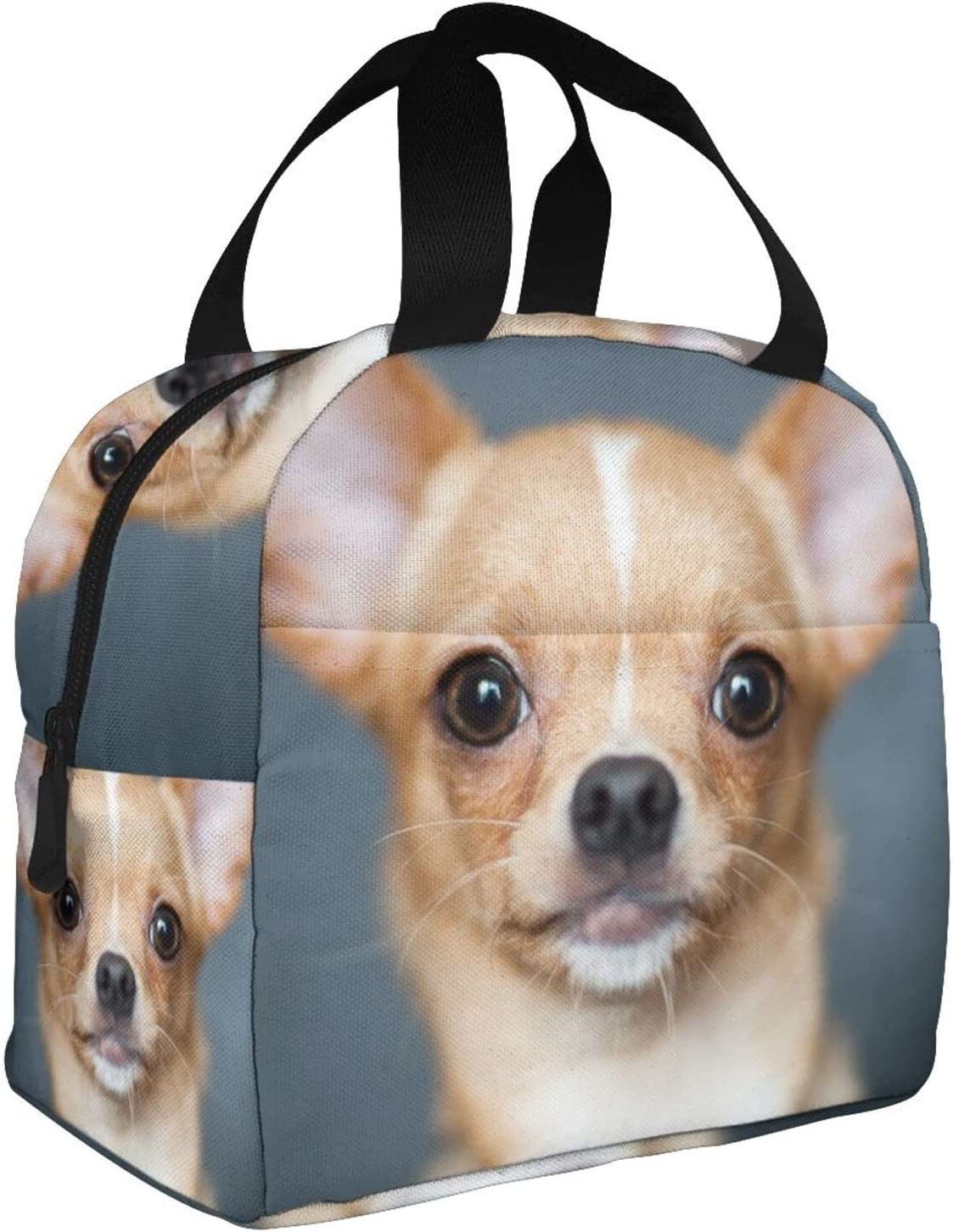 Reusable Insulated Lunch Bag Cute Chihuahua Portable Insulated Lunch Bax Cooler Tote Box For Women Men Adults College Work