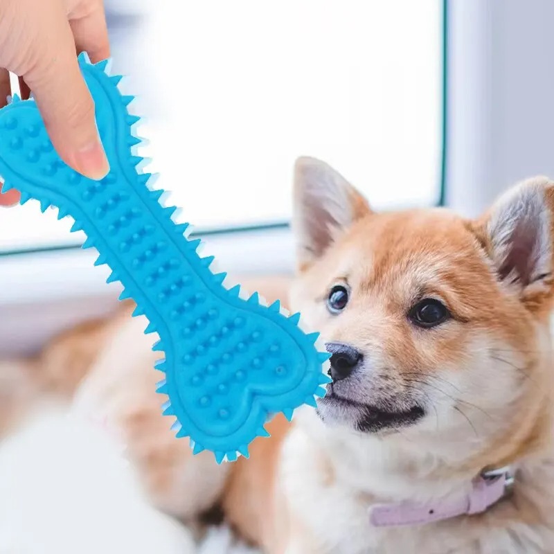 Pet Chew Toy Soft Rubber Bite-resistance Bone Shape Teeth Grinding Chewing Toys for Small Dogs Training Pet Supplies