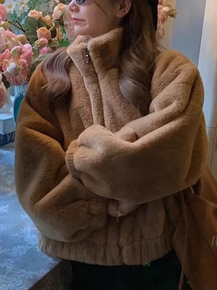 2024 Winter Warm Faux Fur Coat Women Korean Fashion Casual Zipper Faux Lamb Coat Autumn Streetwear Vintage Brown Outerwear 241107