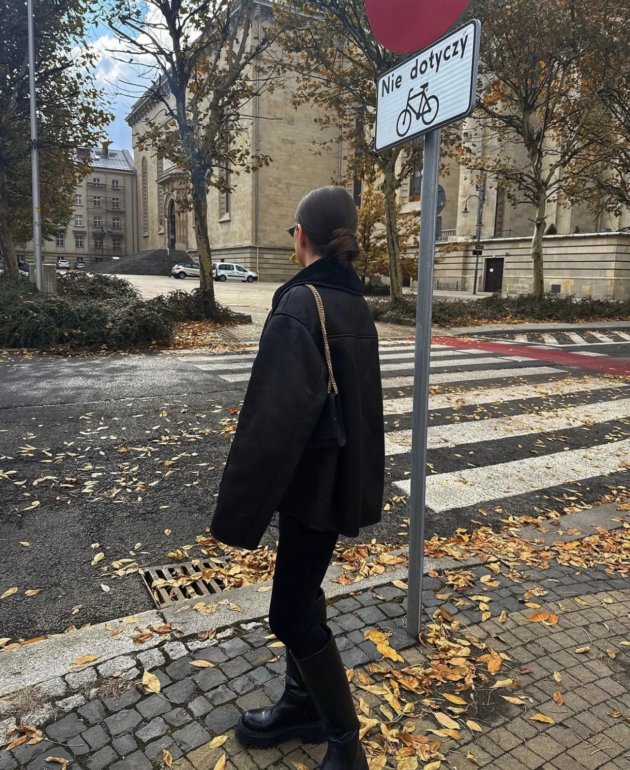 Woman Faux Fur Fleece Vintage Jacket Long Sleeve Single Breasted Casual Coat Ladies Female Warm Thick Autumn Lamb Outwear 241107