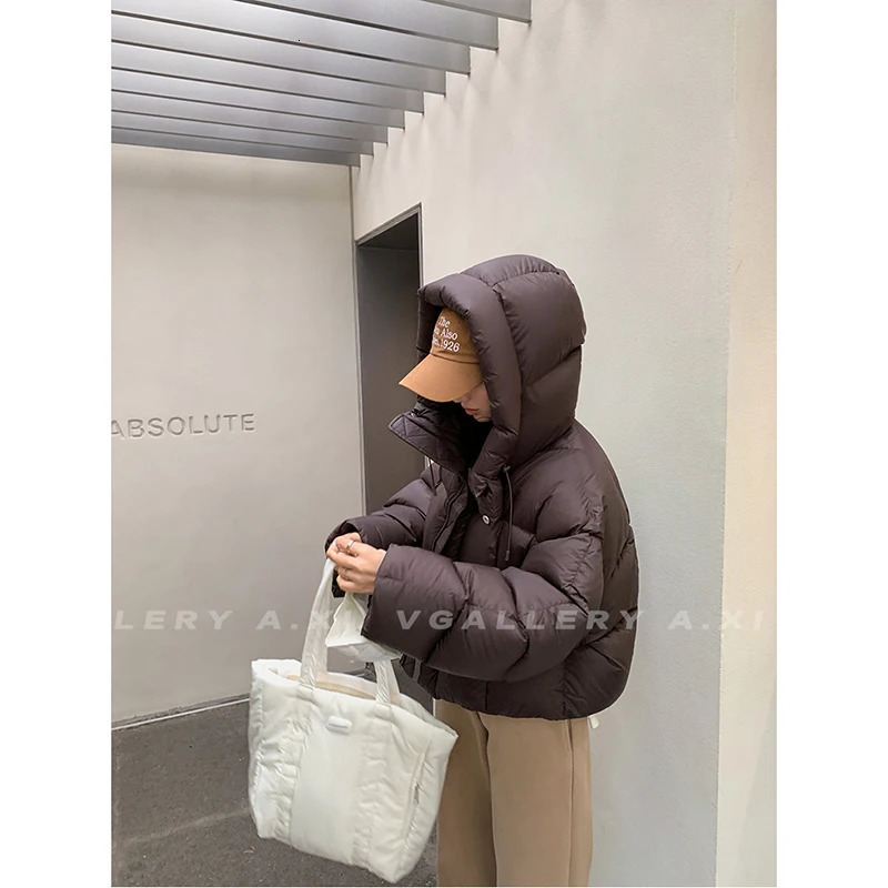 Womens Short Hooded Jacket Winter Coat Korean Fashion Thick Warm Park Loose White Duck Pink Coat 241107