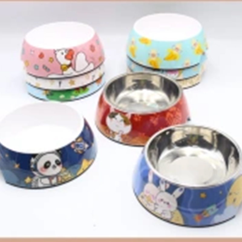 Stylish Antiskid Cartoon Stainless Steel Pet Food Dishes for Small to Large Dogs