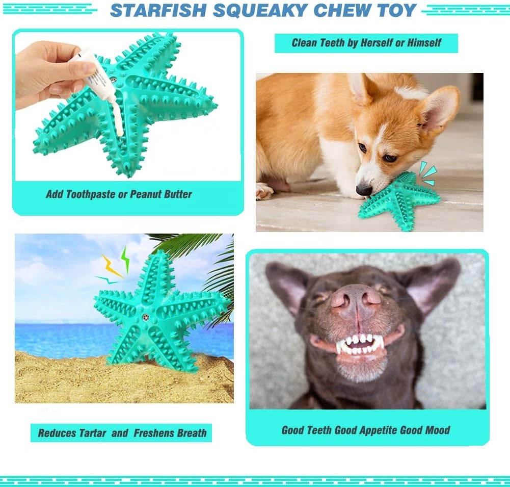 OF New Design Starfish Dog Tooth Brush Teeth Cleaning Toy Dog Chew Toys Squeaky Dog Toys