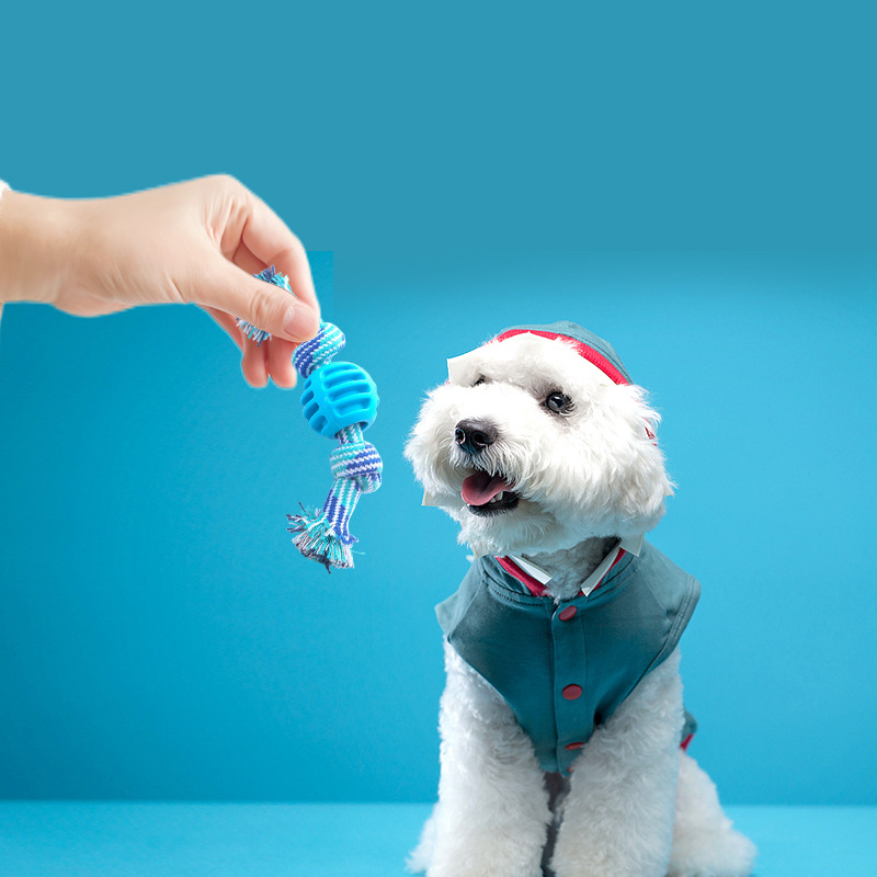 Wholesale hot sale pink blue pet tooth cleaning interactive toy durable TPR Cotton rope double knot ball pet chew toys for dogs