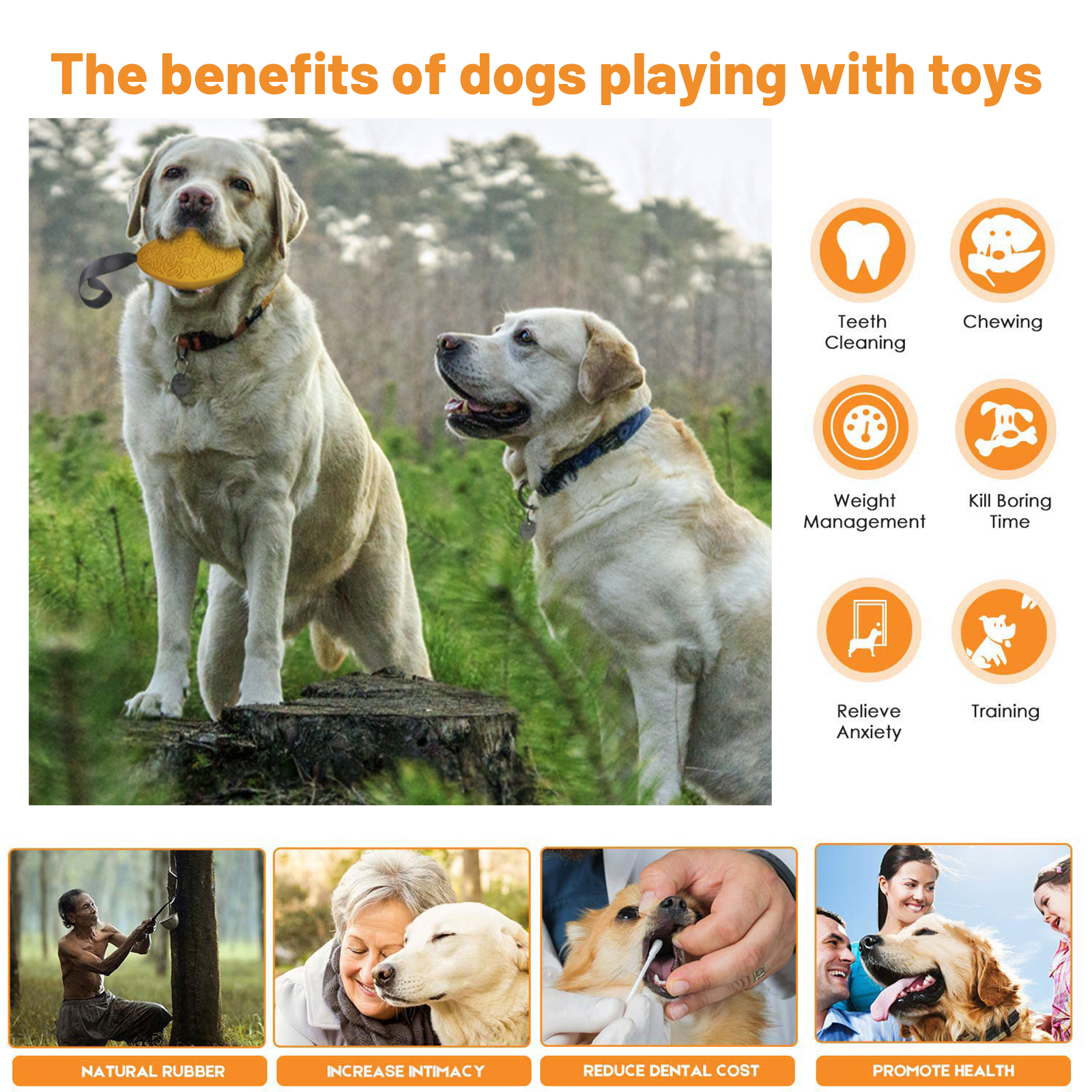 Hot Durable Winter Dog chew toy interactive rope ddp for aggresive chewers-dog chew toy/large