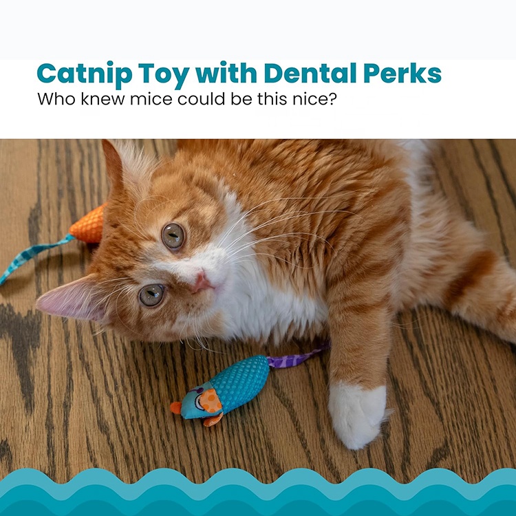 Popular Pet Toy Cat Accessories Kitten Chew Toy Pet Supplies Cat Toy Mouse For Interactive Playing