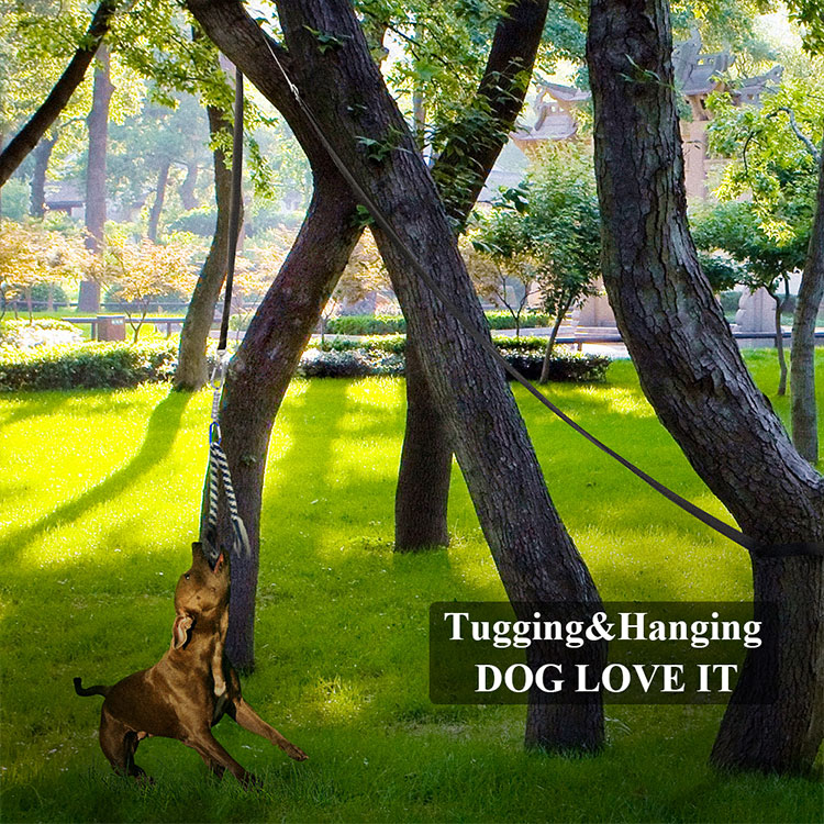 Outdoor Hanging Exercise Rope Pull Tug Of War Toy Muscle Builder Spring Pole Rope Dog Toys For Training Dogs