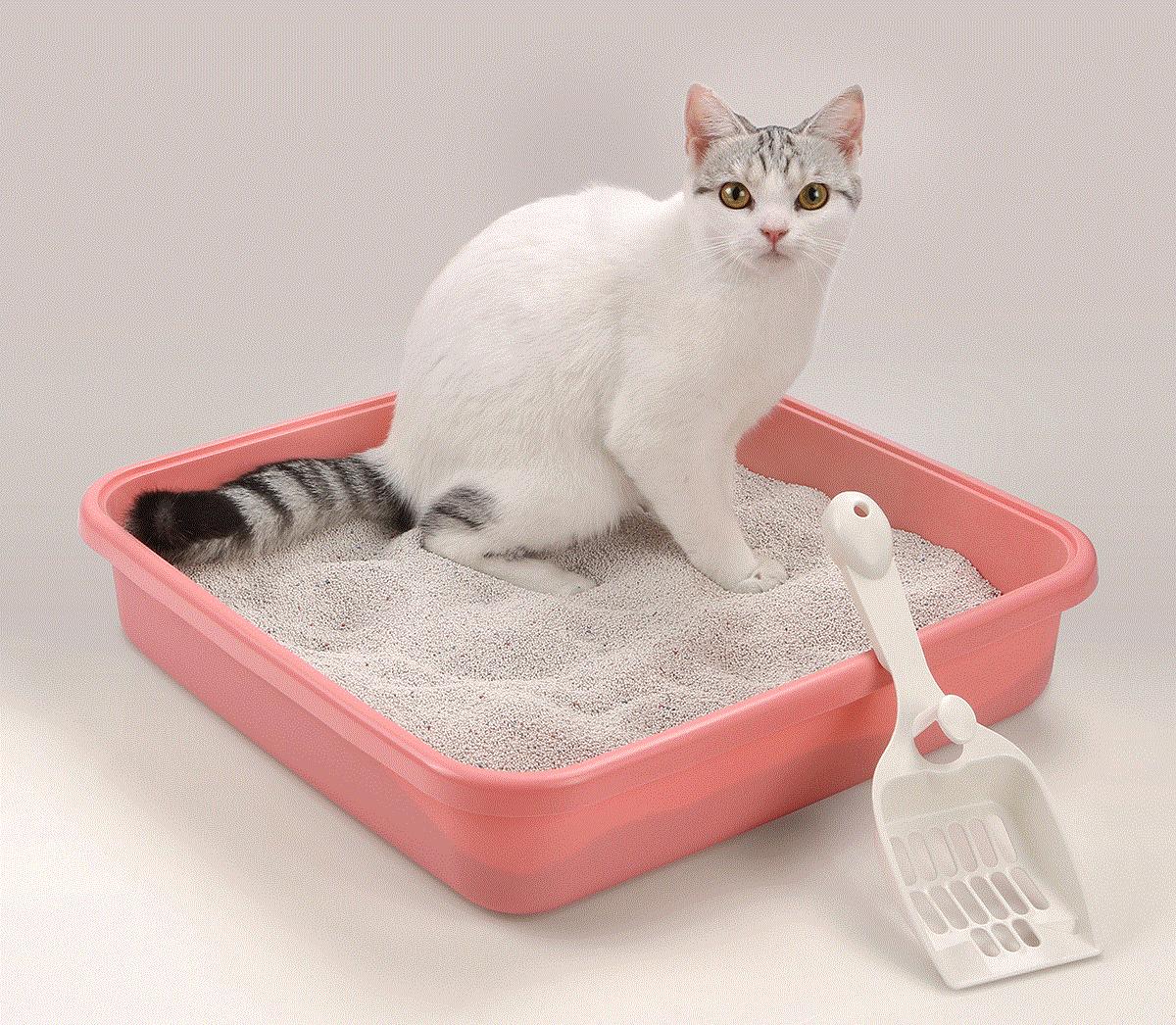 Soft Touch Tofu Cat Litter Optimized for Quick Clumping and Simple Cleansing