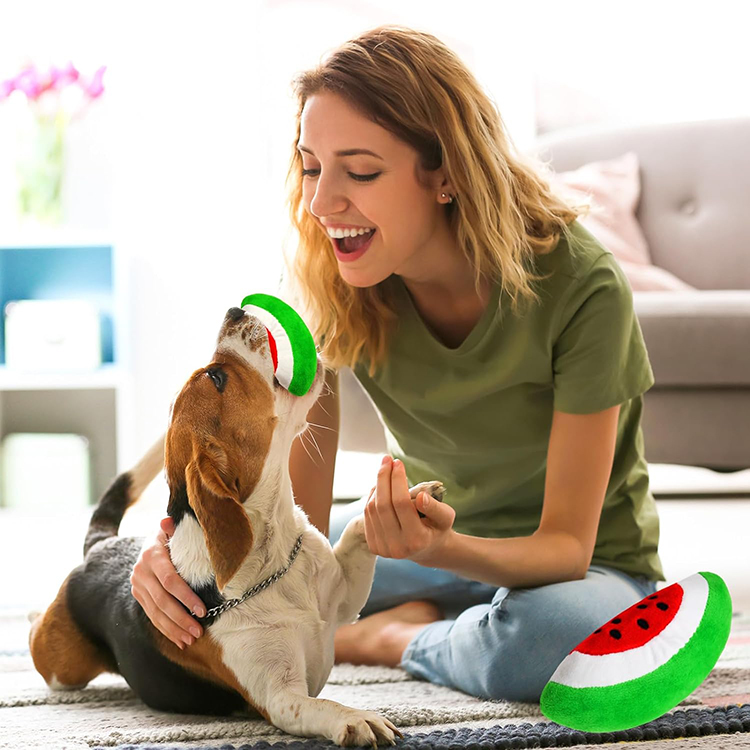 Bulk Interactive Puppy Dog Chew Toys Set Stuffed Dog Teething Toys Pet Squeaky Toy For Dog Playing