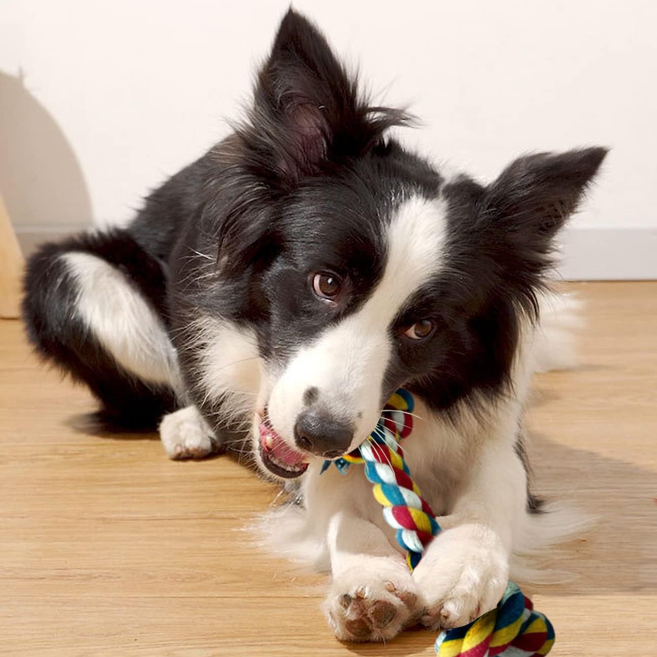 Durable Pet Dog Puppy Double Knot Chew Toy Interactive Rope Knot Toys Clean Teeth Braided Bone Rope Pet Molar Toy Pet Supplies