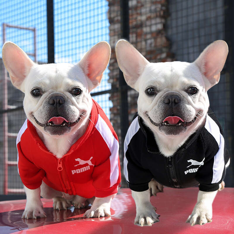 Baseball Jacket Winter Dog Clothes for Small Medium Dogs Puppy Pet Vest French Bulldog Sweatshirt Chihuahua Costume Pug Coat