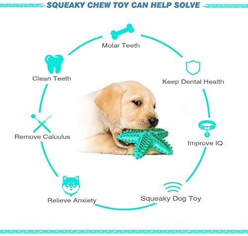 OF New Design Starfish Dog Tooth Brush Teeth Cleaning Toy Dog Chew Toys Squeaky Dog Toys