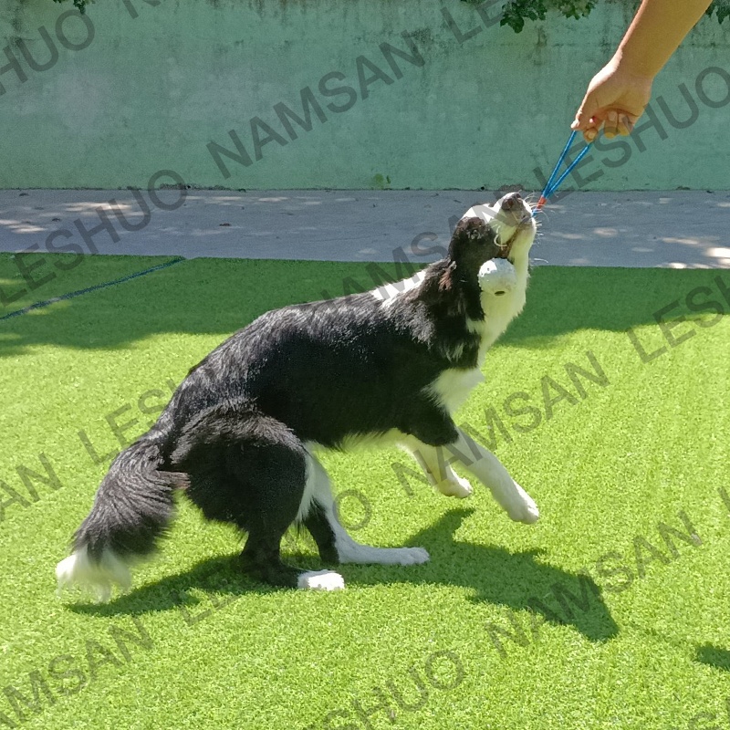 Pet Dog Training Ball Toys with Rope Naturel Rubber Ball Toy for Dog Tooth Clean Play Chew Exercise Toy