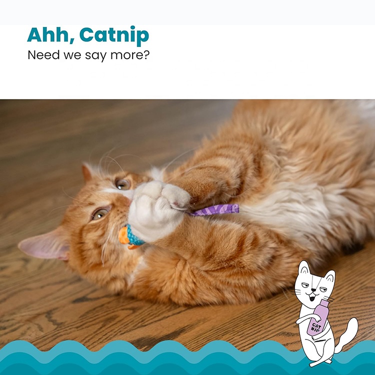 Popular Pet Toy Cat Accessories Kitten Chew Toy Pet Supplies Cat Toy Mouse For Interactive Playing