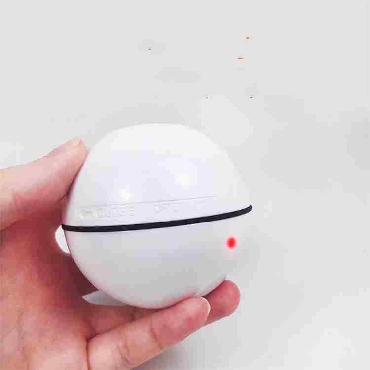 2019 cheapest pet toys interactive