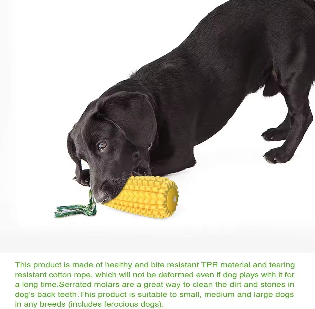 WholesaleHot Sale Durable Corn Shaped TPR Dog Toothbrush Teeth Cleaning Toys Pet Chew Squeaky Toy