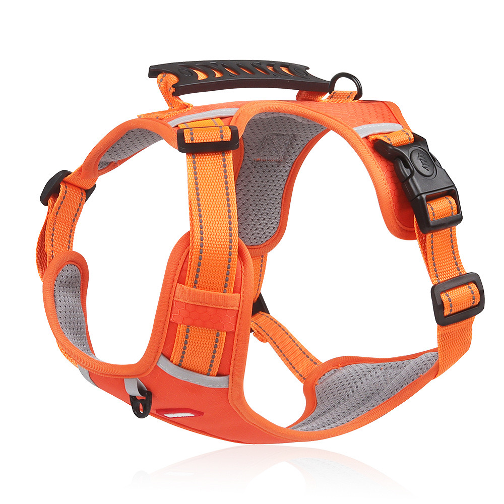 Adjustable Mesh Dog and Cat Harness Set Safe Walk System with Removable Leash Included