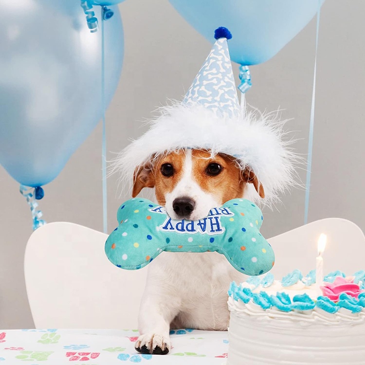 Dog Birthday Toys Plush Puppy Squeaky Toys Pet Supplies Stuffed Dog Chew Toys For Gift
