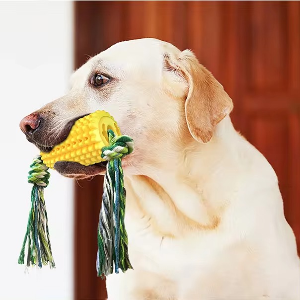 Wholesale Durable TPR Teeth Cleaning Maize Corn Pet Chewing Toy Tiny Dog Dental Care Chew Toys for Dogs Toothbrush