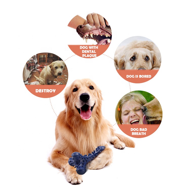 Amazon Hot Selling drop shipping Pet Toys Molar Spike Dog Bone Toys Pet Dog Chew Toys