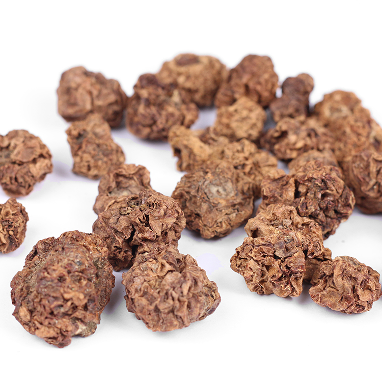 Stock Supply Natural Whole Actinidia Polygama Dried Fruits Matatabi Silvervine Gall Fruit