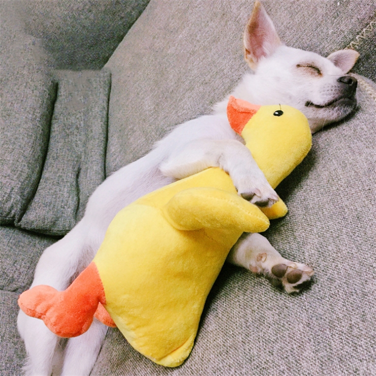 Wholesale Pet Molar Toy Rhubarb Duck Plush Sound Toy Dog Chew Toy