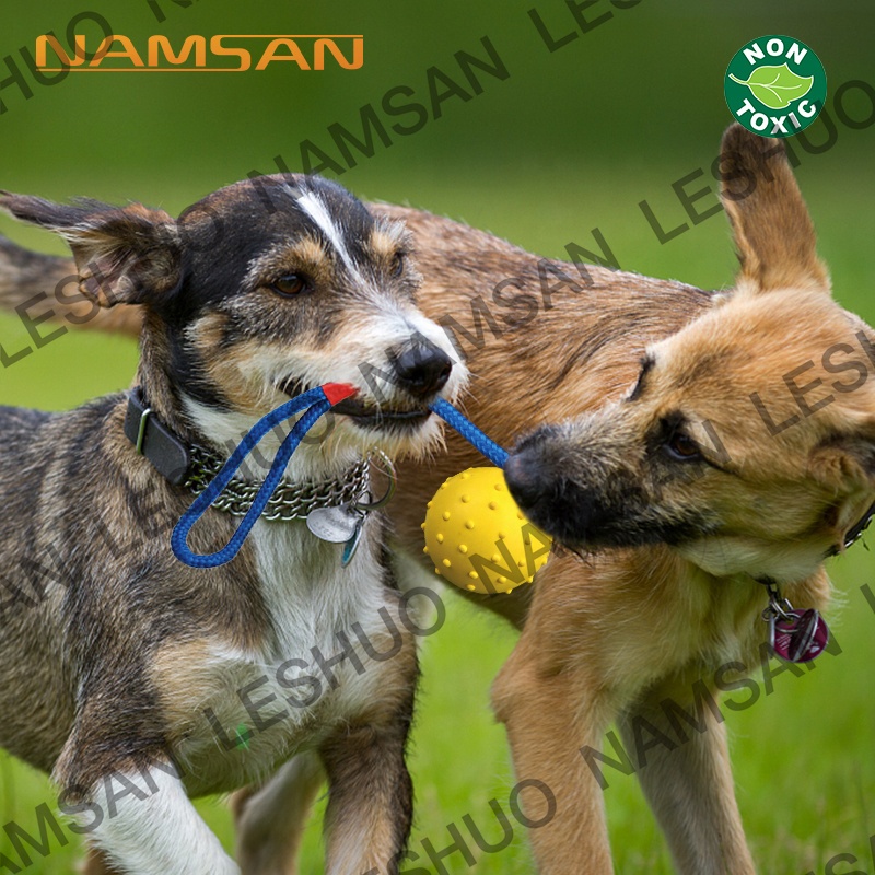 Pet Toys Ball Interactive Rubber Ball Dog Toy for Training Reward Toy Dog Chew Ball Tooth Clean Rope