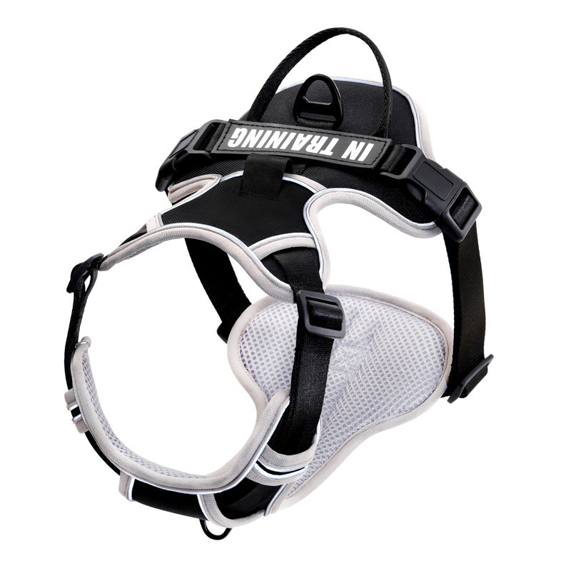 Durable Mesh Canine Harness with Quick Release Clasp - Ideal for Pets