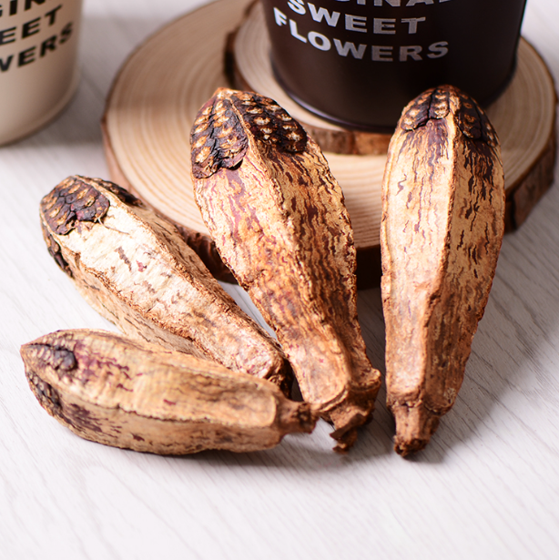 Yang Tao Guo Dried Whole Mahogany Fruit Mahogany Pods Natural Carambola Fruit Dried Averrhoa Fruit for Bird Food