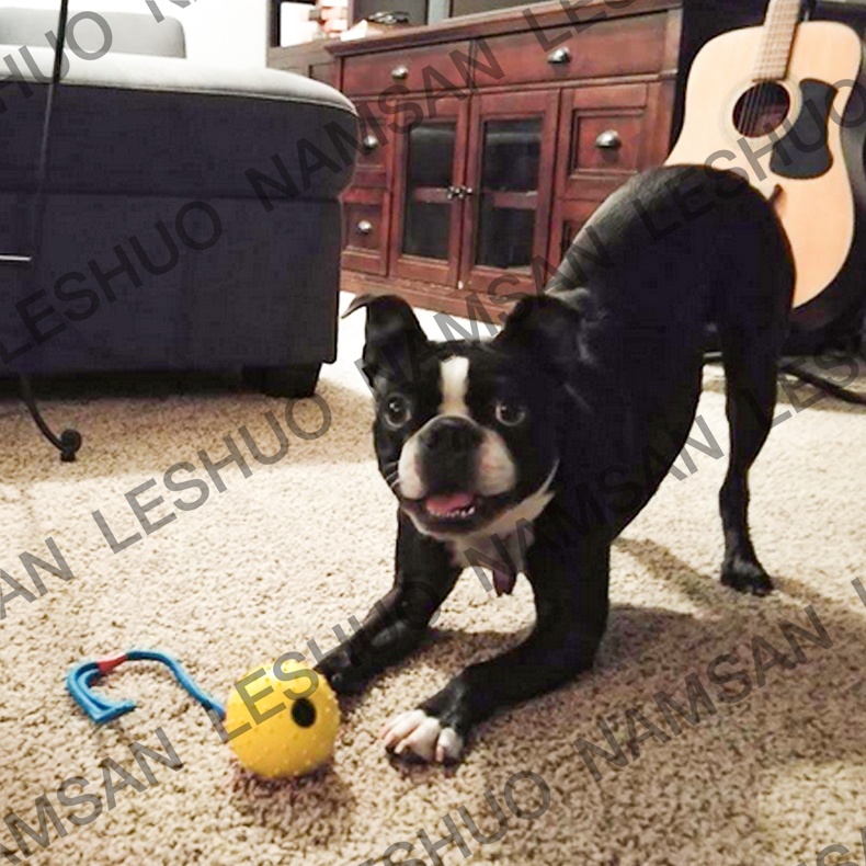 Pet Dog Training Ball Toys with Rope Naturel Rubber Ball Toy for Dog Tooth Clean Play Chew Exercise Toy