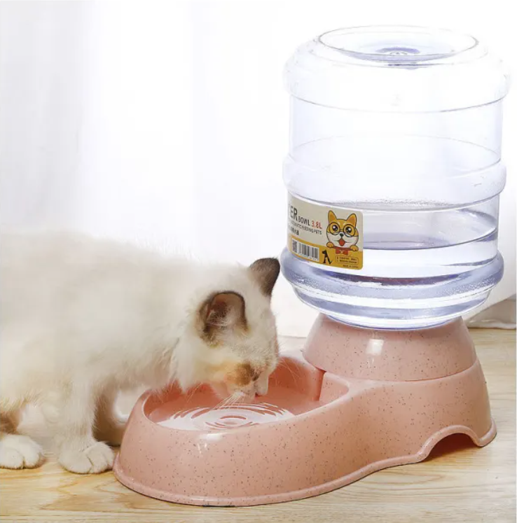 Elegant See-Through Canine and Feline Automated Feeder - Resilient Plastic Structure With Grippy Sole Support