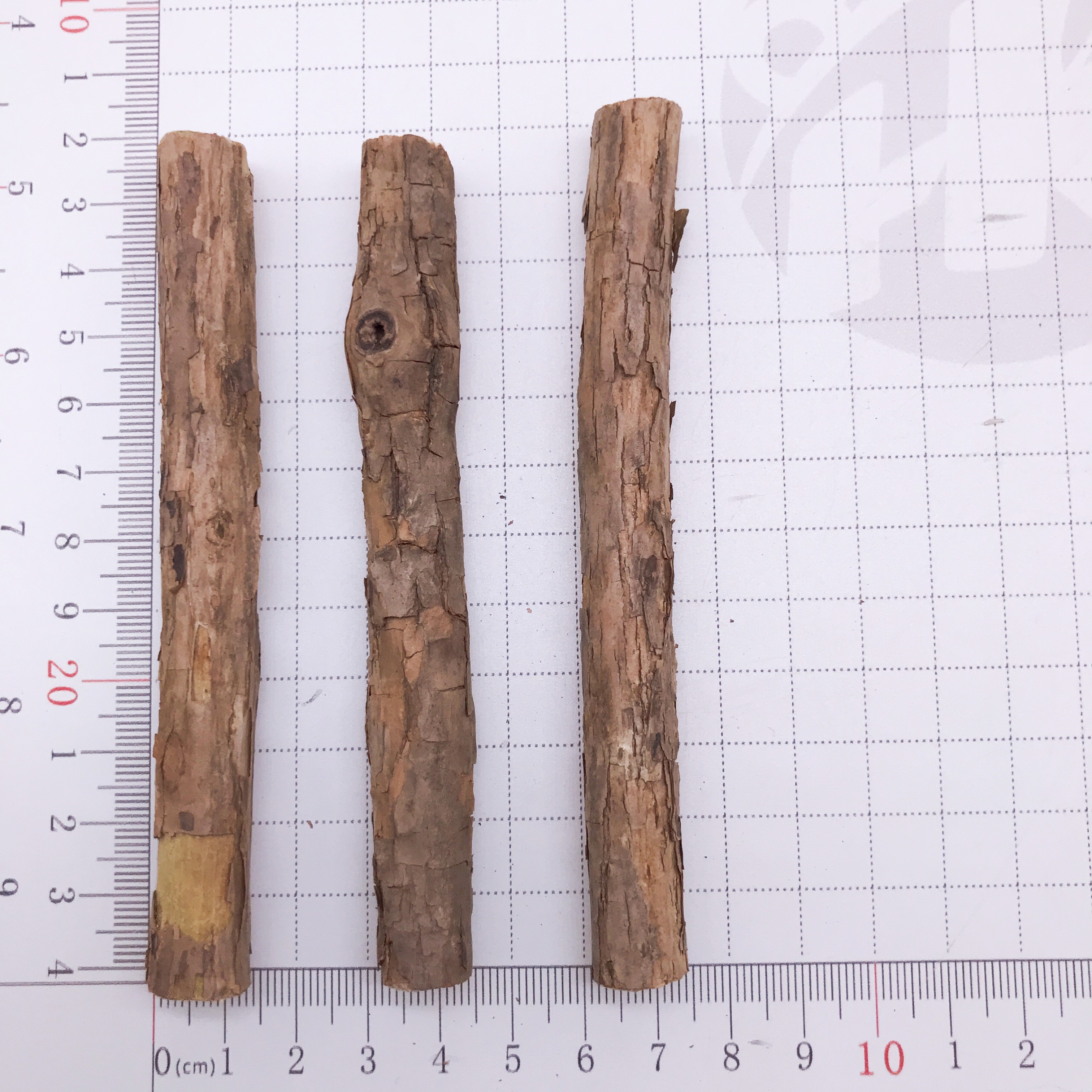 YHC08 Dia 0.9-1.2cm Pet Toys Cleaning Teeth Sticks Pure natural pet molar silvervine actinidia Matatabi snacks sticks