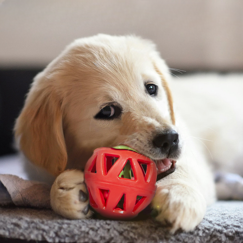 Directly Factory Wholesale 2024 Custom Pet Supplies Fruit Toy Pet Supplies Dog Bite Resistance Training Toy