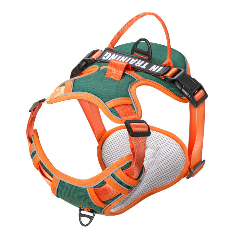 Durable Mesh Canine Harness with Quick Release Clasp - Ideal for Pets