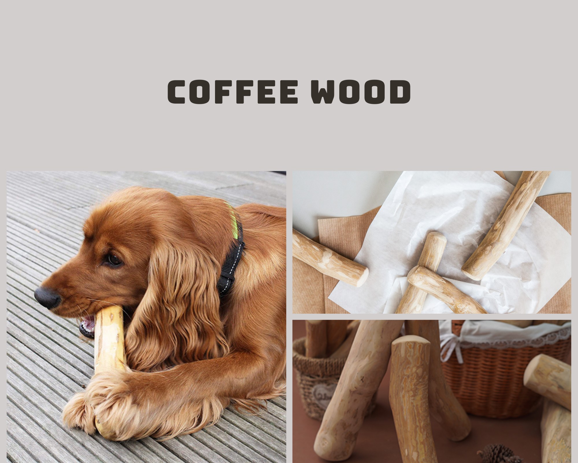 100% Natural and Safe Coffee wood dog chew sticks/ Dog Chew toys Pet Product/ Dog Treats - Ms Tammy +1 763 353 5245