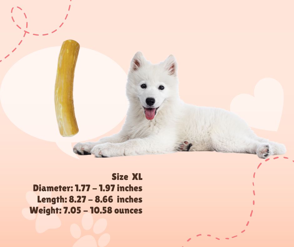 100% Natural Coffee wood dog chew sticks/ Dog Chew toys Pet Product Wholesale price from Viet Nam - Ms Tammy +1 763 353 5245