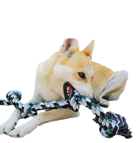 Environmentally friendly best-selling cotton rope gnash consumption dog endurance pet toys