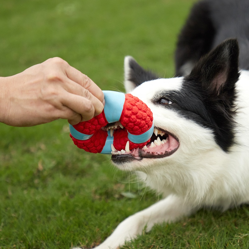 OEM/ODM Custom Latex High-quality Durable Wholesale Mascotas Pet Perro Toy Juguetes Dental Toothbrush Cleaning Interactive Toys