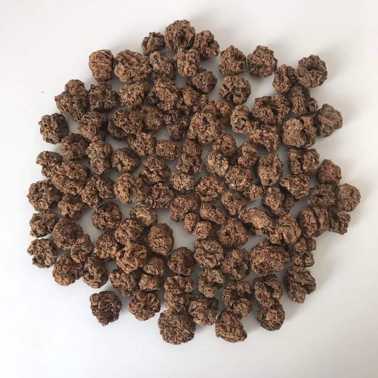 YHC09 Chong ying guo Wholesale bulk dried Fruits Actinidia polygama Matatabi Silvervine Fruit insect gall for cat chew