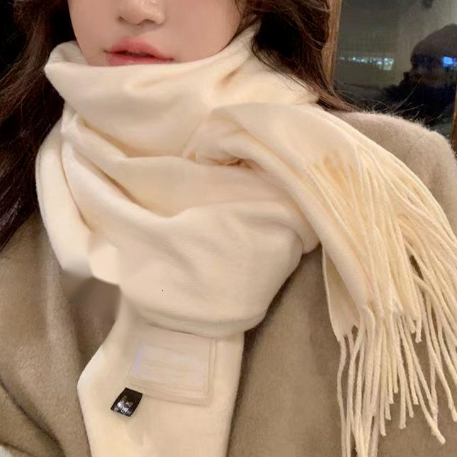 Versatile in Autumn Winter New Solid Color Imitation Cashmere Scarf Women, High end Shawl for Warmth and Thickened Neck