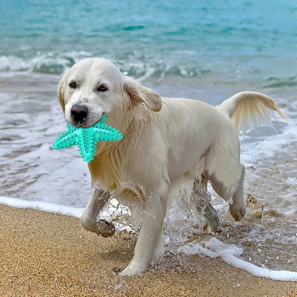 Factory Secure Sound Pet Toy Chew Toothbrush Starfish Teeth Cleaning Molar Dog Chew Squeaky Resistance Dog Toy