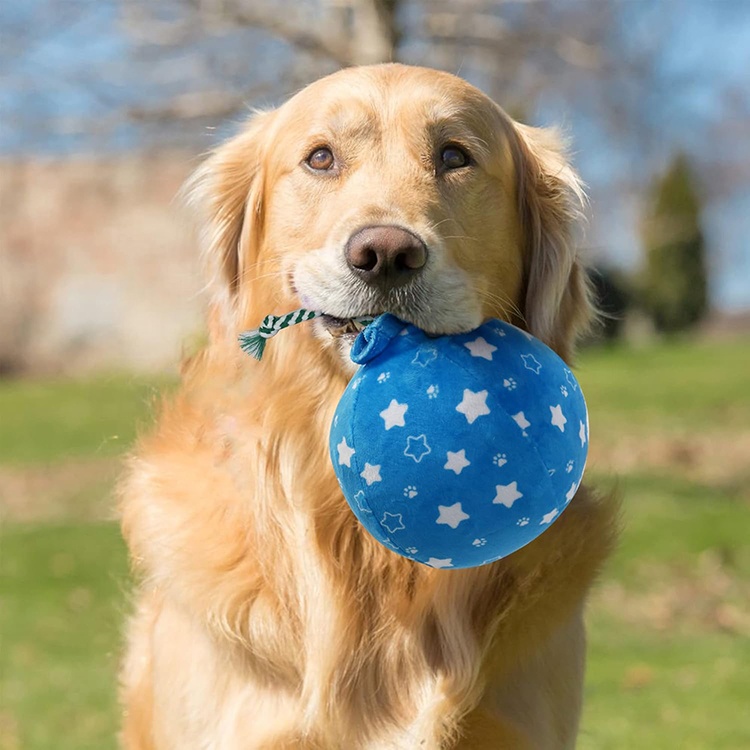 Dog Birthday Toys Plush Dog Crinkle Squeaky Toys Puppy Birthday Party Supplies Dog Chew Toys For Gift