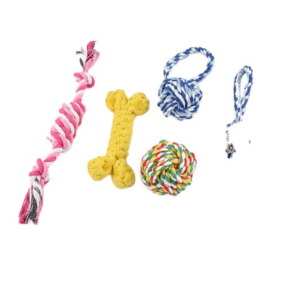 Wholesale Durable New Arrival Dog Chew Interactive Toys Custom Pet Chew Toy Set