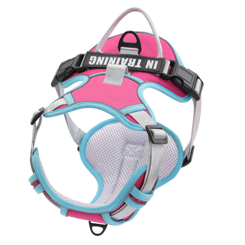 Durable Mesh Canine Harness with Quick Release Clasp - Ideal for Pets