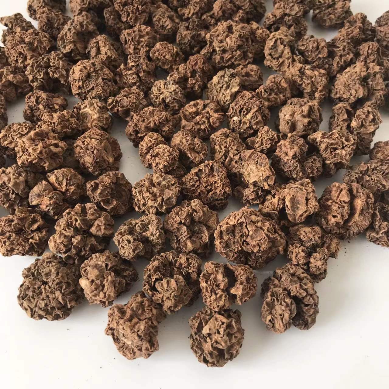 YHC09 Chong ying guo Wholesale bulk dried Fruits Actinidia polygama Matatabi Silvervine Fruit insect gall for cat chew