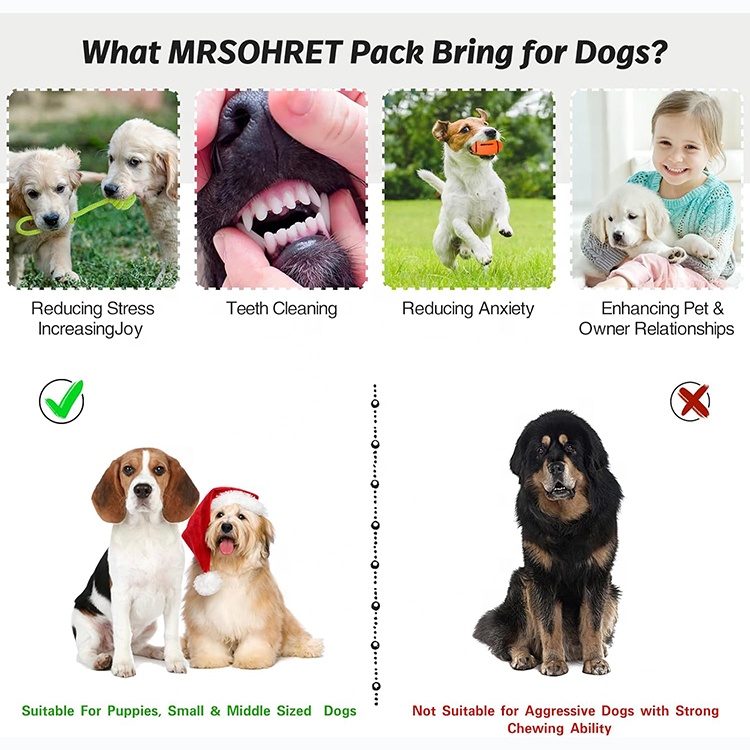 20 PCS Puppy Chew Toys Dog Accessories Pet Supplies Dog Plush Squeaky Toys With Basket