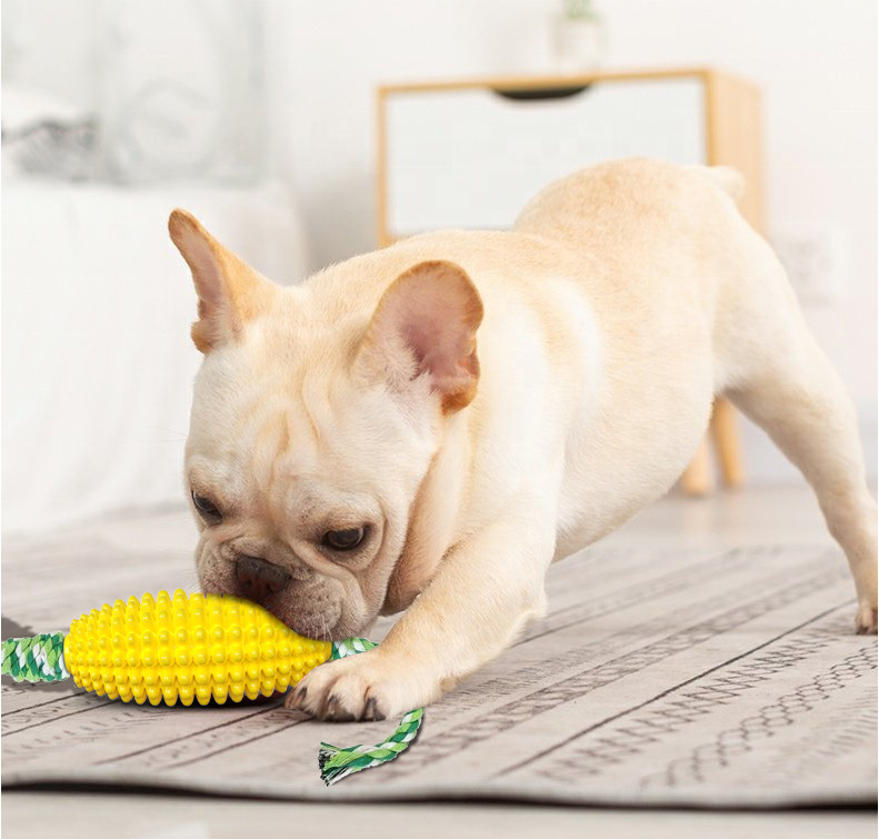 custom cute designer electronic interactive pet chew toy toys dog pet toy