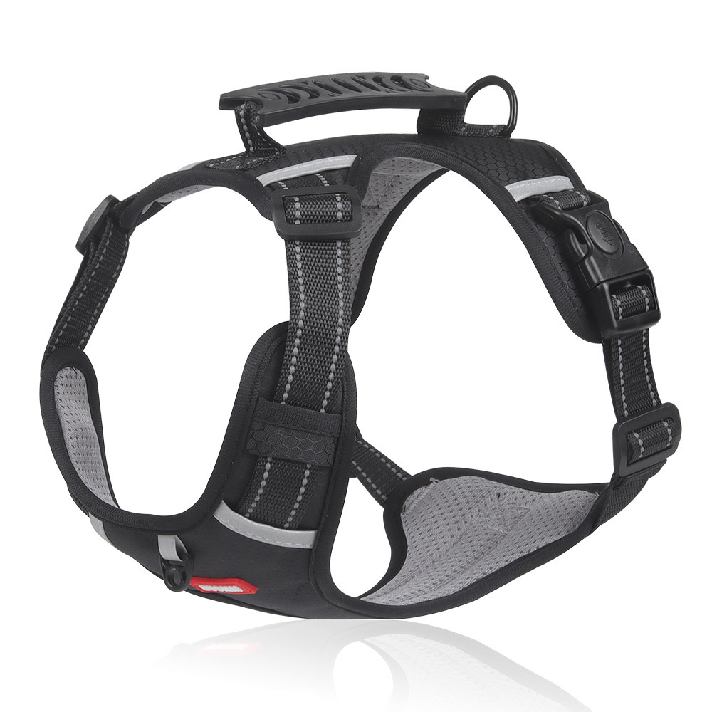 Adjustable Mesh Dog and Cat Harness Set Safe Walk System with Removable Leash Included