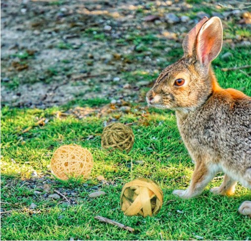 Parrot chew toy rattan ball Rattan ball straw ball rabbit rabbit foot toys 9 sets